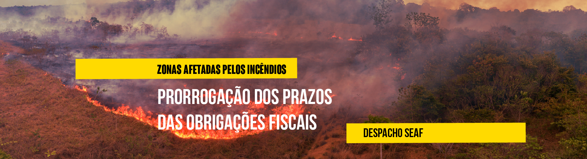 SEAF incêndios