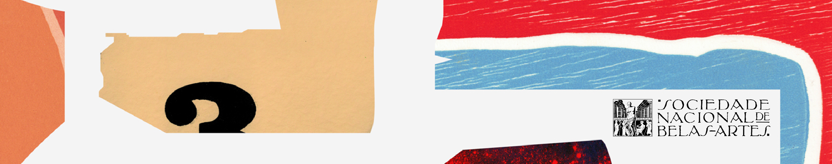 Sociedade Nacional de Belas Artes