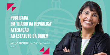 contabilista282